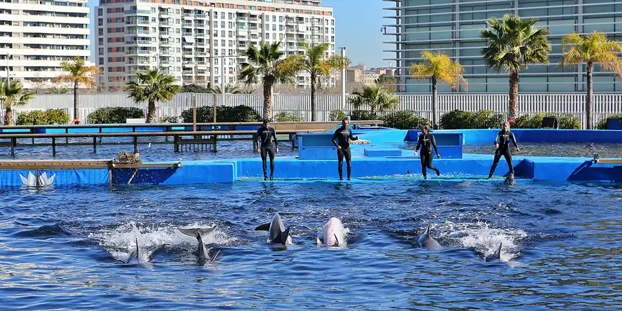 012 | 2020 | Valencia | Ciutat de les Arts i les Ciències – L&rsquo; oceanogràfic | © carsten riede fotografie
