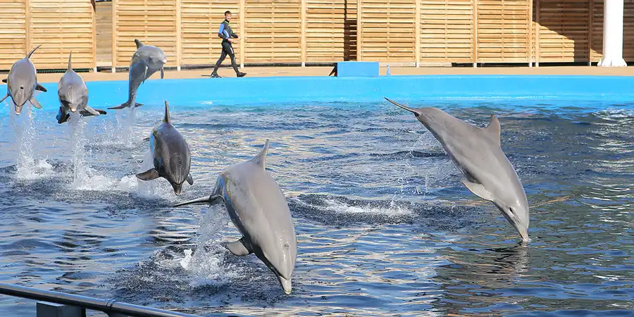 013 | 2020 | Valencia | Ciutat de les Arts i les Ciències – L&rsquo; oceanogràfic | © carsten riede fotografie