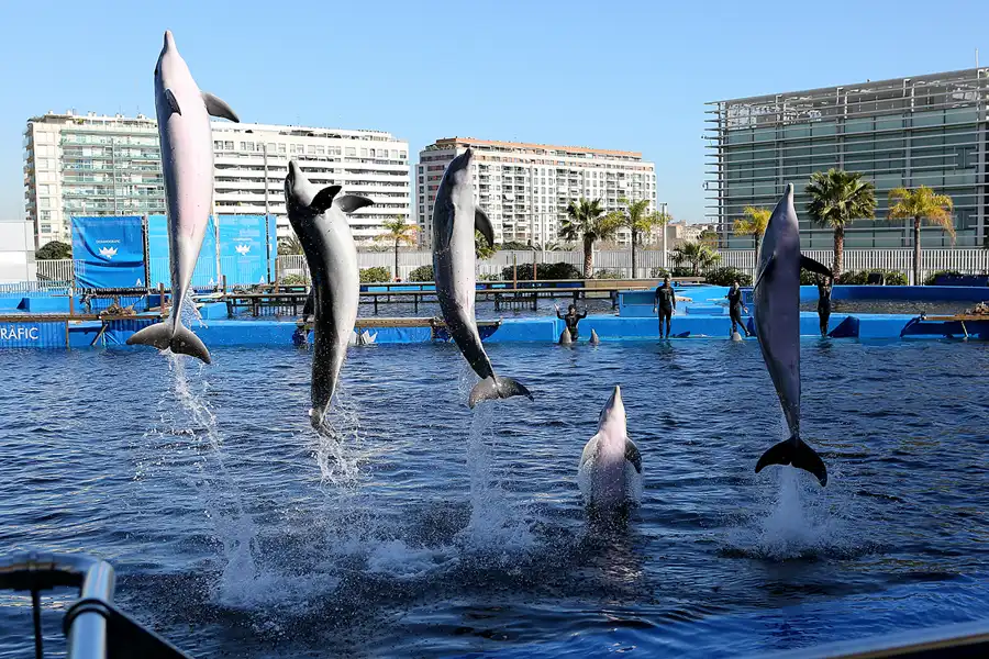 018 | 2020 | Valencia | Ciutat de les Arts i les Ciències – L&rsquo; oceanogràfic | © carsten riede fotografie