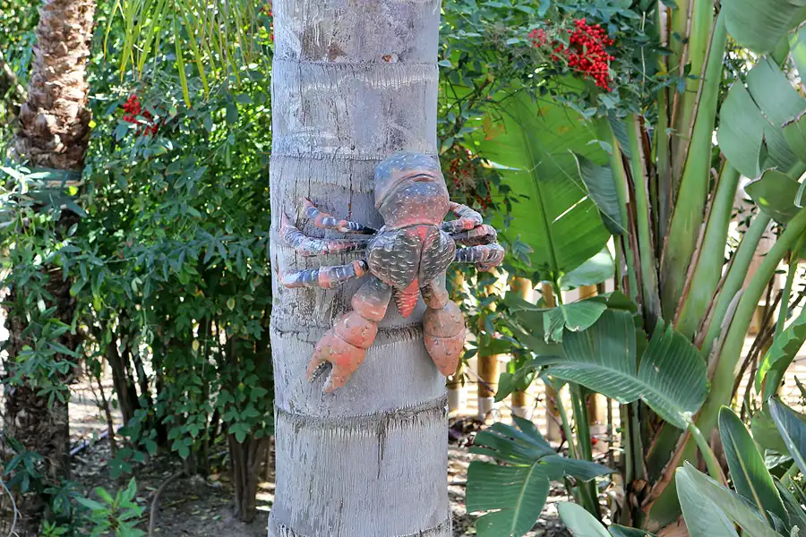 020 | 2020 | Valencia | Ciutat de les Arts i les Ciències – L&rsquo; oceanogràfic | © carsten riede fotografie