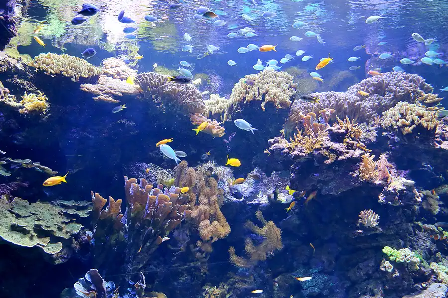 023 | 2020 | Valencia | Ciutat de les Arts i les Ciències – L&rsquo; oceanogràfic | © carsten riede fotografie