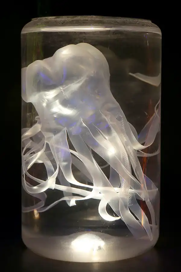 027 | 2020 | Valencia | Ciutat de les Arts i les Ciències – L&rsquo; oceanogràfic | © carsten riede fotografie