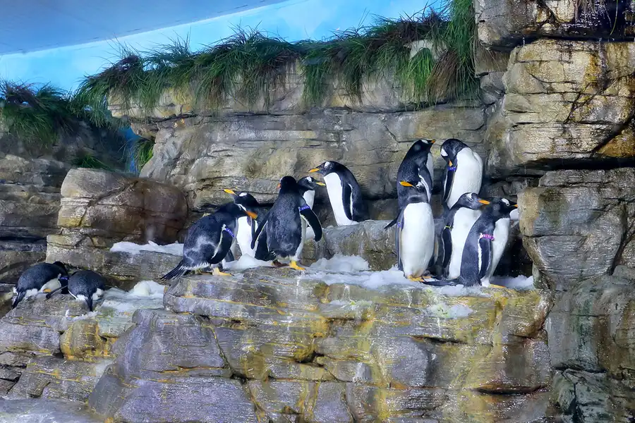 029 | 2020 | Valencia | Ciutat de les Arts i les Ciències – L&rsquo; oceanogràfic | © carsten riede fotografie