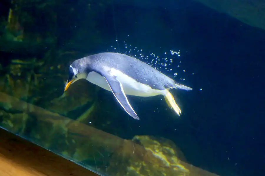 031 | 2020 | Valencia | Ciutat de les Arts i les Ciències – L&rsquo; oceanogràfic | © carsten riede fotografie