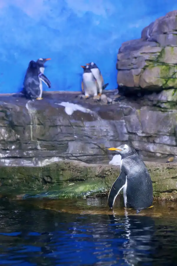 032 | 2020 | Valencia | Ciutat de les Arts i les Ciències – L&rsquo; oceanogràfic | © carsten riede fotografie