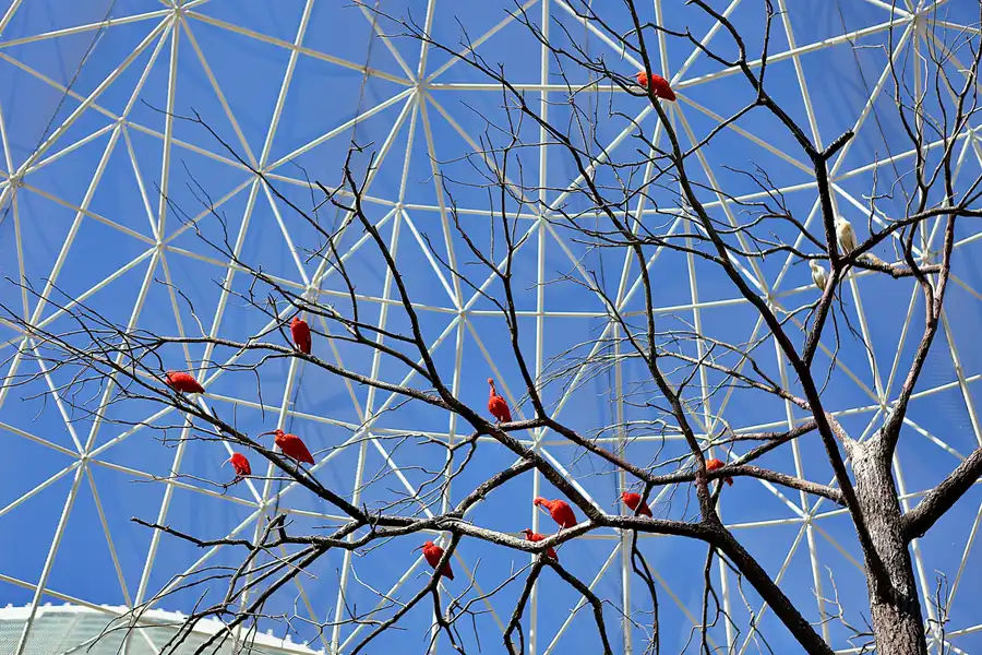 034 | 2020 | Valencia | Ciutat de les Arts i les Ciències – L&rsquo; oceanogràfic | © carsten riede fotografie