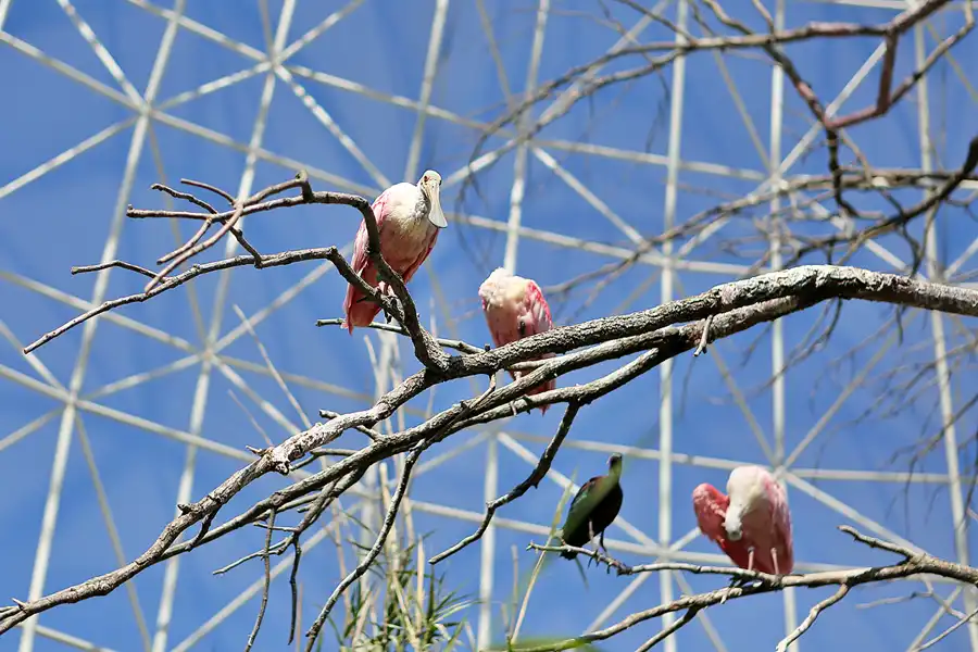 036 | 2020 | Valencia | Ciutat de les Arts i les Ciències – L&rsquo; oceanogràfic | © carsten riede fotografie