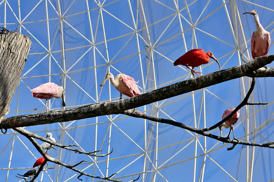 037 | 2020 | Valencia | Ciutat de les Arts i les Ciències – L&rsquo; oceanogràfic | © carsten riede fotografie