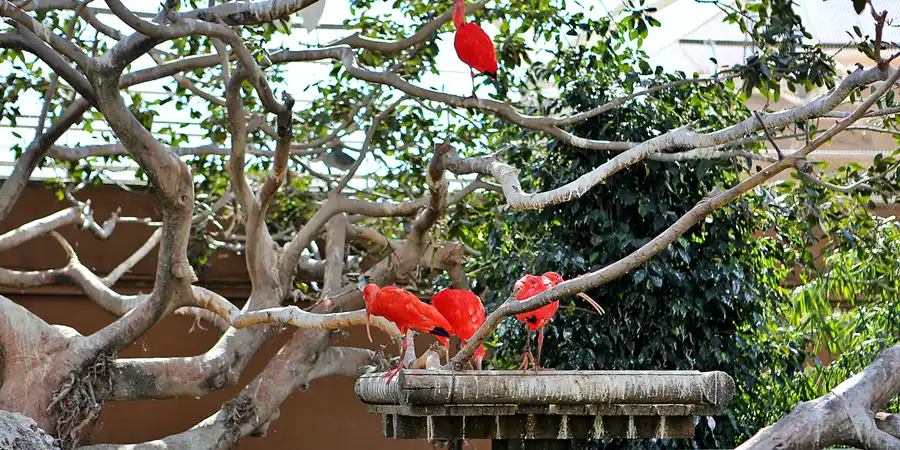 038 | 2020 | Valencia | Ciutat de les Arts i les Ciències – L&rsquo; oceanogràfic | © carsten riede fotografie