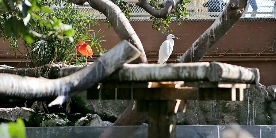039 | 2020 | Valencia | Ciutat de les Arts i les Ciències – L&rsquo; oceanogràfic | © carsten riede fotografie