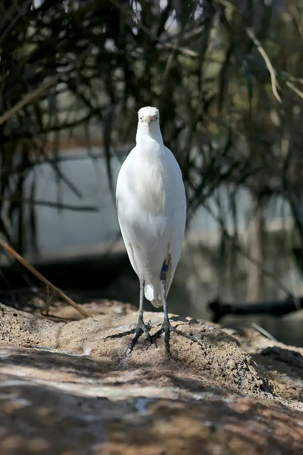 040 | 2020 | Valencia | Ciutat de les Arts i les Ciències – L&rsquo; oceanogràfic | © carsten riede fotografie