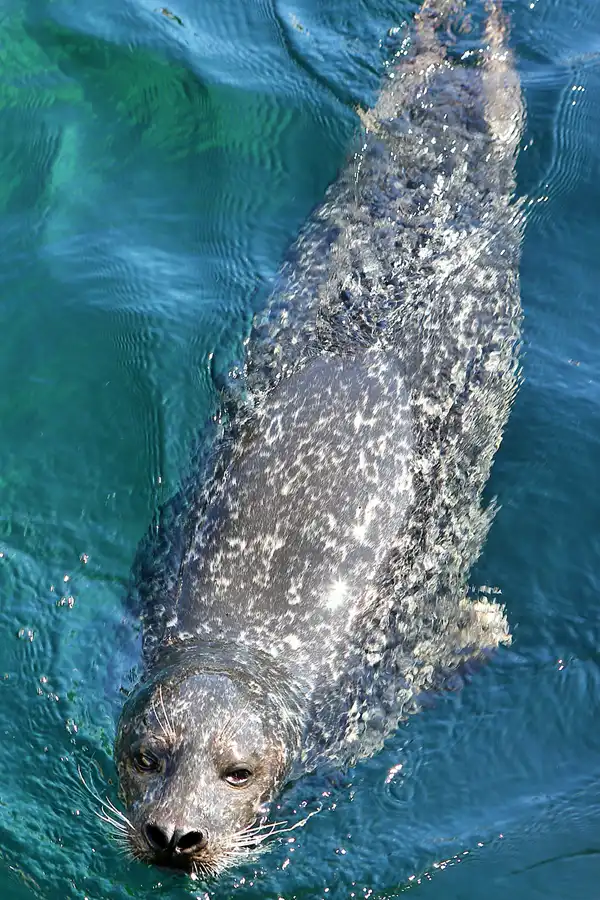 045 | 2020 | Valencia | Ciutat de les Arts i les Ciències – L&rsquo; oceanogràfic | © carsten riede fotografie