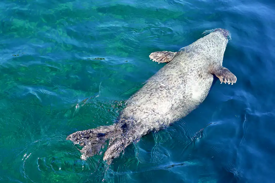 046 | 2020 | Valencia | Ciutat de les Arts i les Ciències – L&rsquo; oceanogràfic | © carsten riede fotografie