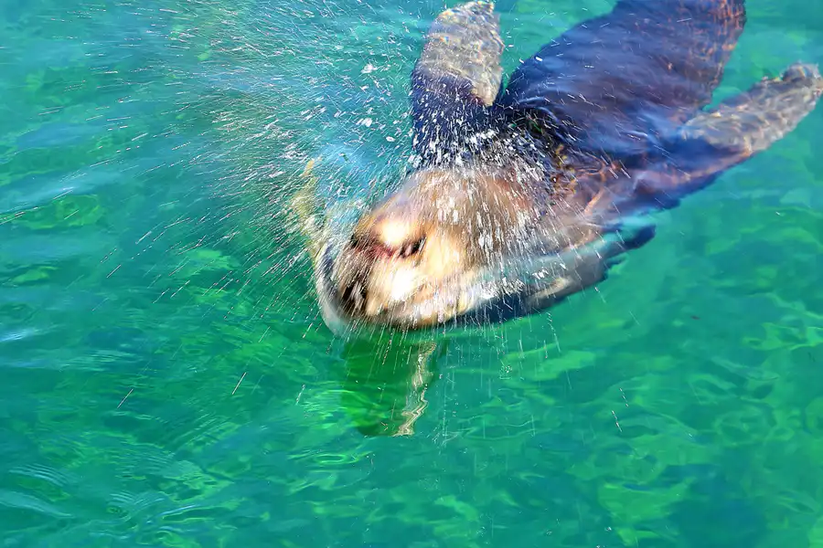 048 | 2020 | Valencia | Ciutat de les Arts i les Ciències – L&rsquo; oceanogràfic | © carsten riede fotografie