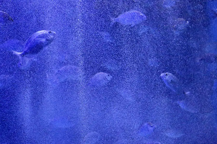 075 | 2020 | Valencia | Ciutat de les Arts i les Ciències – L&rsquo; oceanogràfic | © carsten riede fotografie