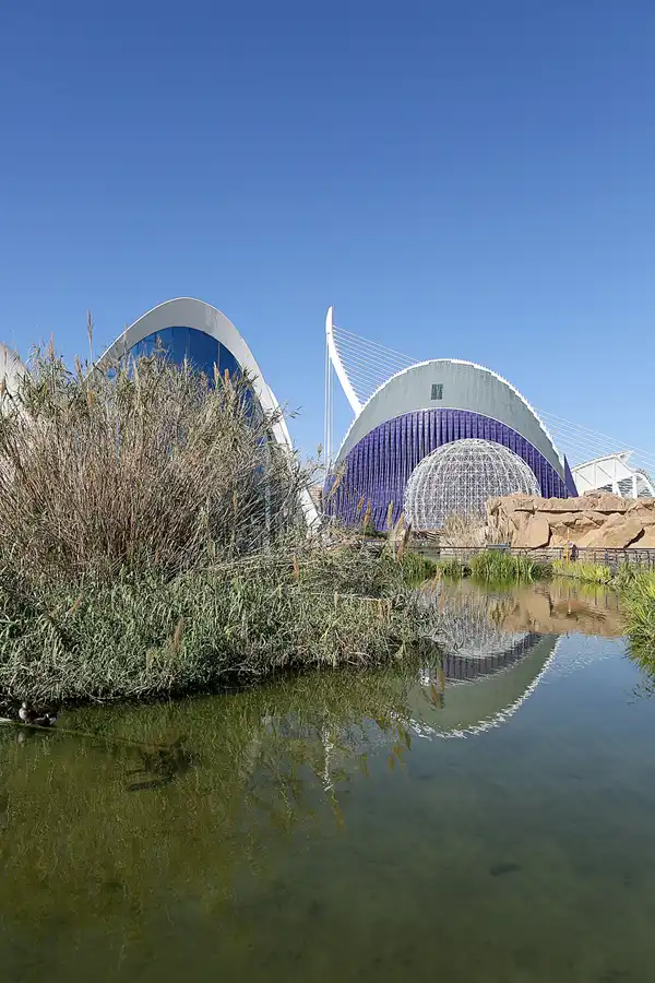 093 | 2020 | Valencia | Ciutat de les Arts i les Ciències – L&rsquo; oceanogràfic | © carsten riede fotografie