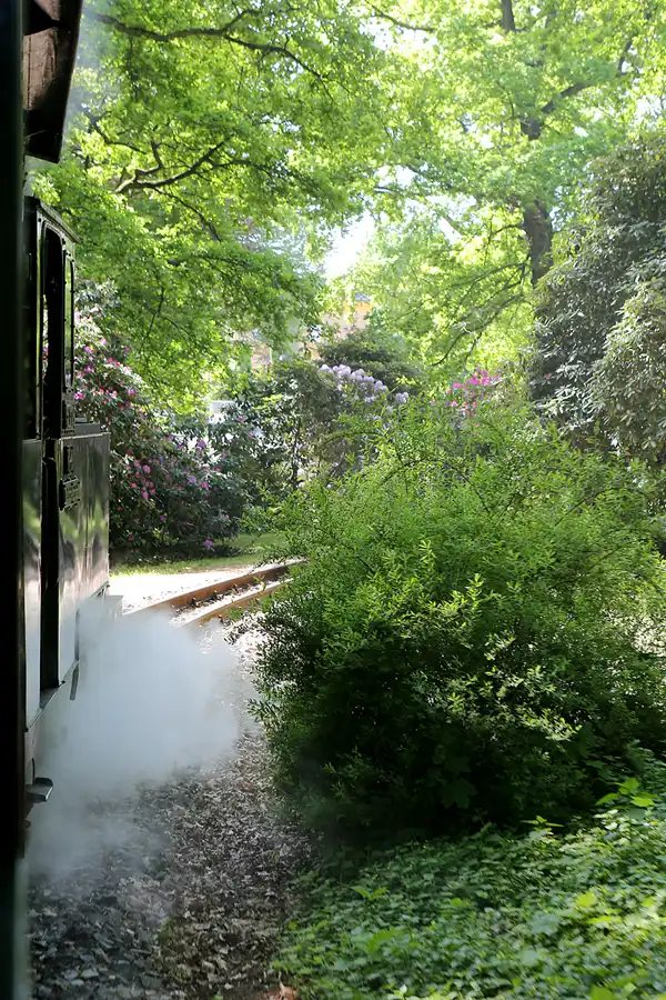 039 | 2020 | Weisswasser | Waldeisenbahn Muskau | © carsten riede fotografie