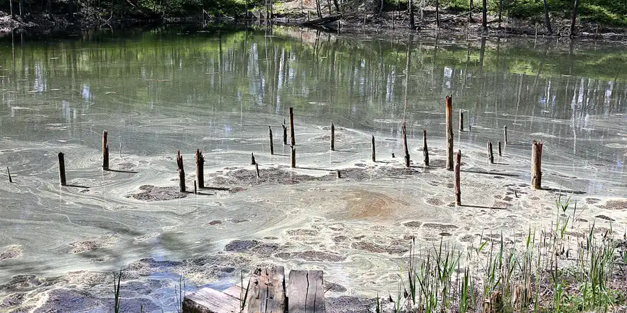 076 | 2020 | Muskauer Heide | © carsten riede fotografie