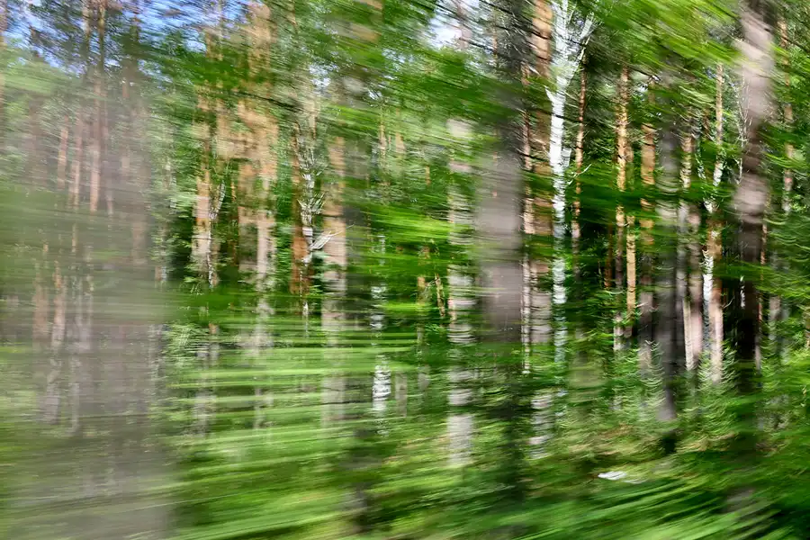 080 | 2020 | Muskauer Heide | © carsten riede fotografie