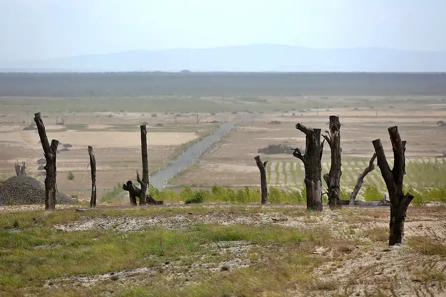 091 | 2020 | Tagebau Nochten | Rekultivierungsfläche | © carsten riede fotografie