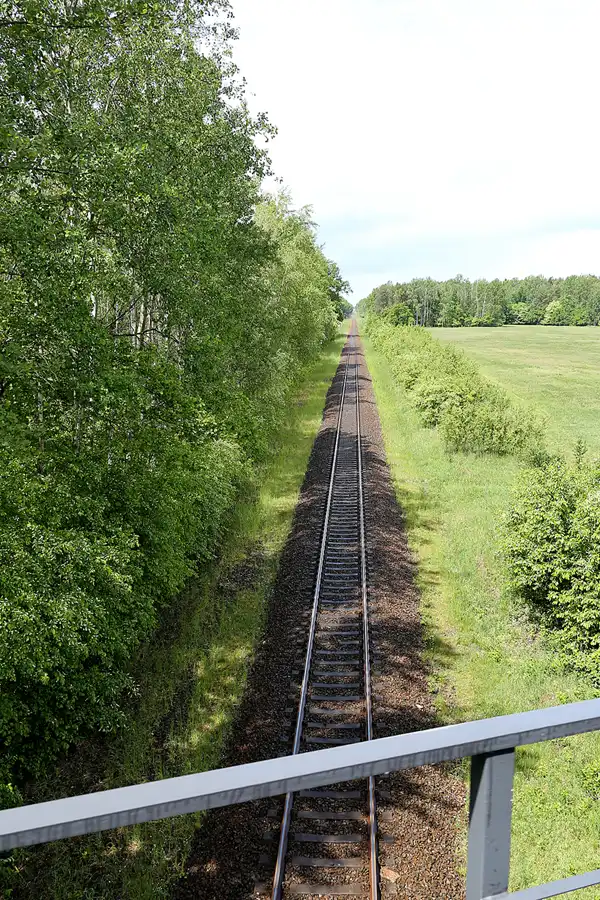 108 | 2020 | Muskauer Heide | © carsten riede fotografie