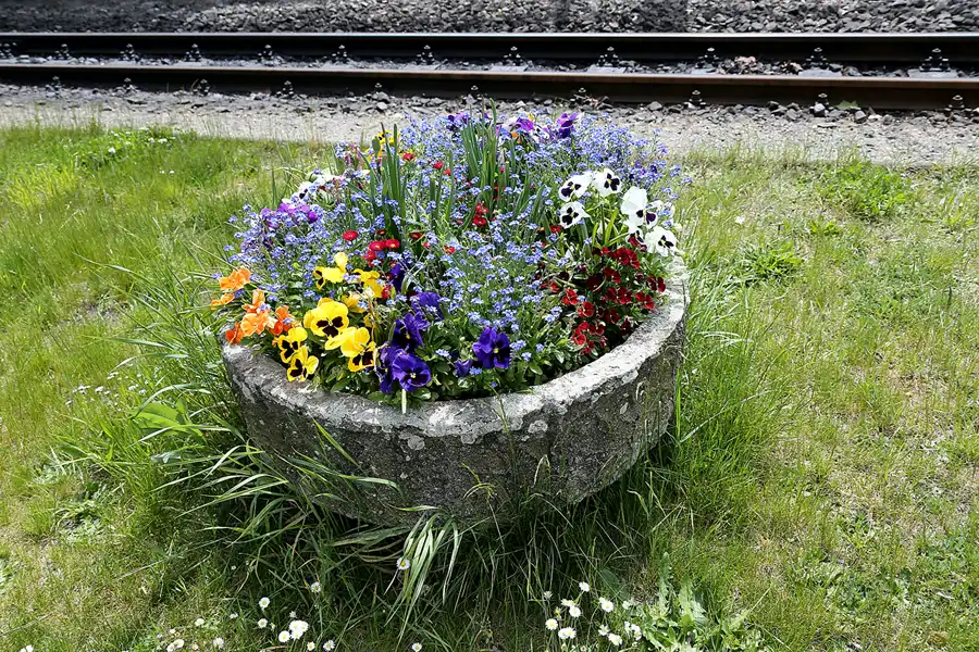 138 | 2020 | Zittau | Zittauer Schmalspurbahn – Bahnhof Zittau | © carsten riede fotografie