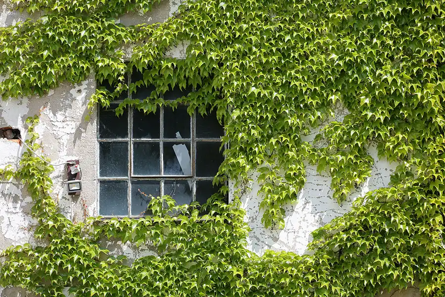 034 | 2020 | Zittau | © carsten riede fotografie