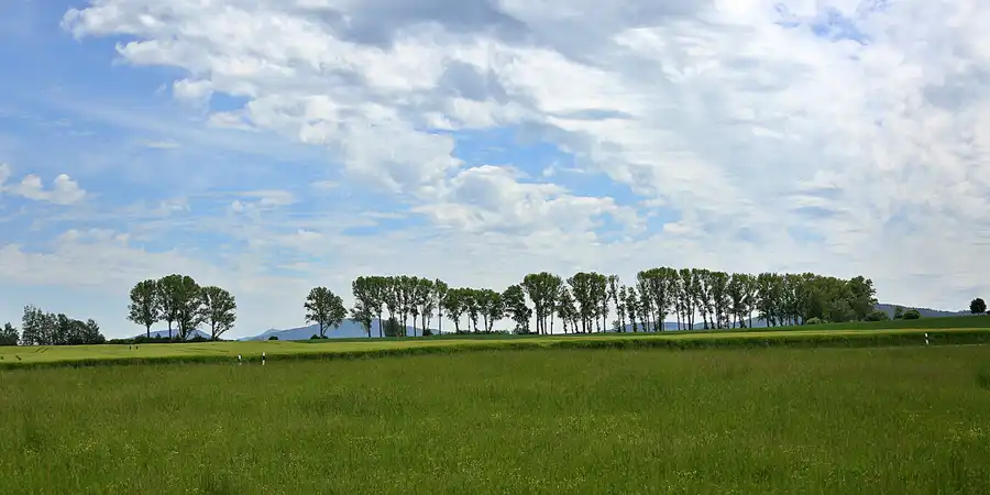 068 | 2020 | Olbersdorf | © carsten riede fotografie