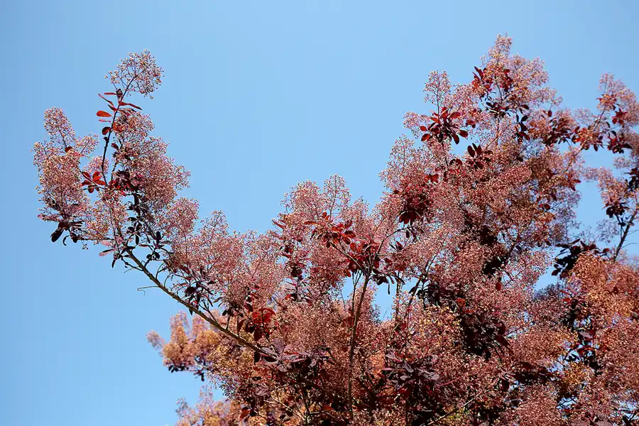 083 | 2020 | Gingst | Rügen Park | © carsten riede fotografie