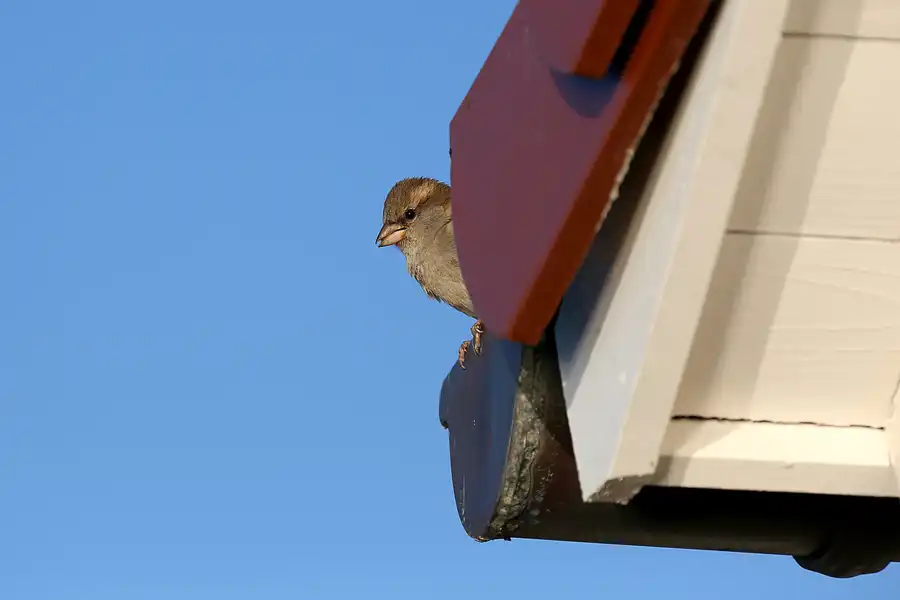 013 | 2020 | Lohme | © carsten riede fotografie