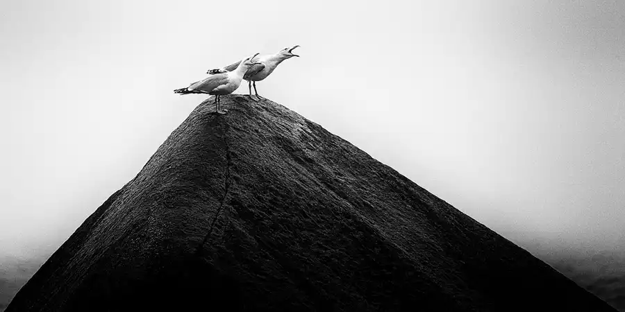 063 | 2020 | Lohme | Schwanenstein | © carsten riede fotografie