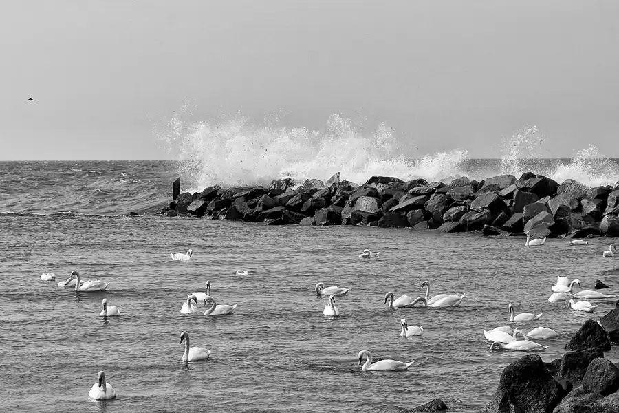 068 | 2020 | Lohme | © carsten riede fotografie