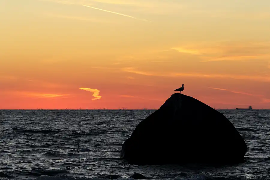 192 | 2020 | Lohme | Sonnenaufgang 18.06.2020 | © carsten riede fotografie