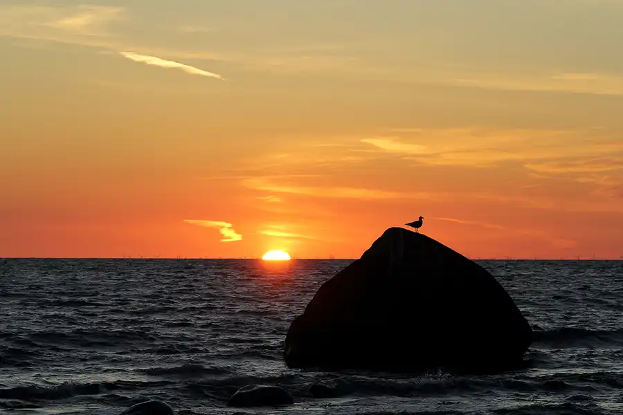 194 | 2020 | Lohme | Sonnenaufgang 18.06.2020 | © carsten riede fotografie