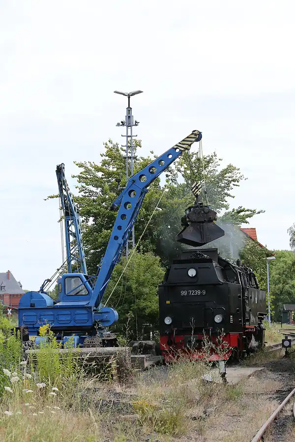 006 | 2020 | Gernrode | Selketalbahn | © carsten riede fotografie
