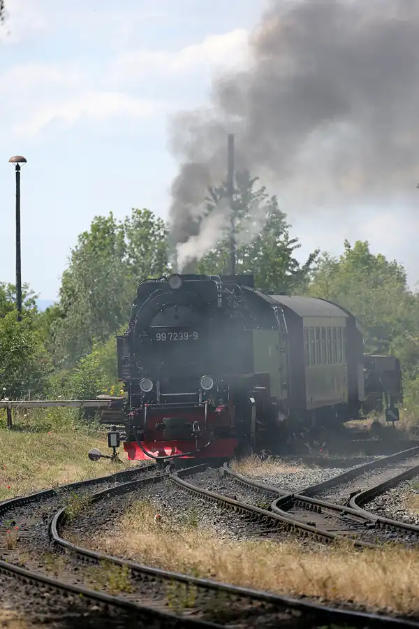 012 | 2020 | Gernrode | Selketalbahn | © carsten riede fotografie