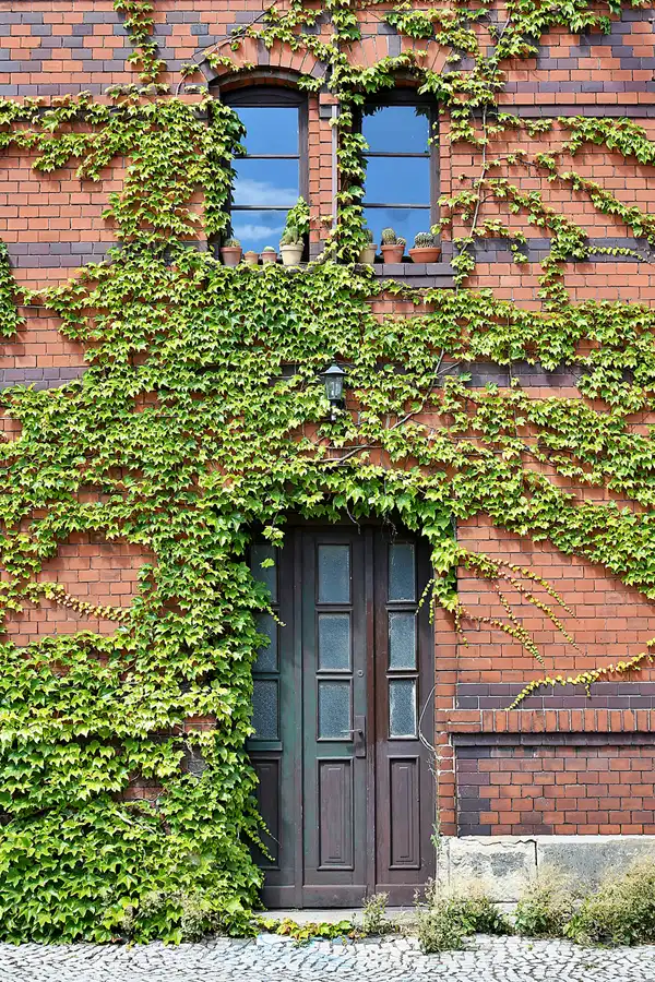 025 | 2020 | Gernrode | Bahnhof | © carsten riede fotografie