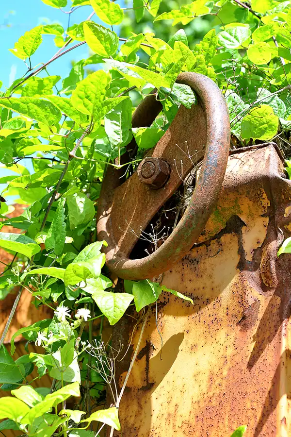 045 | 2020 | Gernrode | Selketalbahn | © carsten riede fotografie
