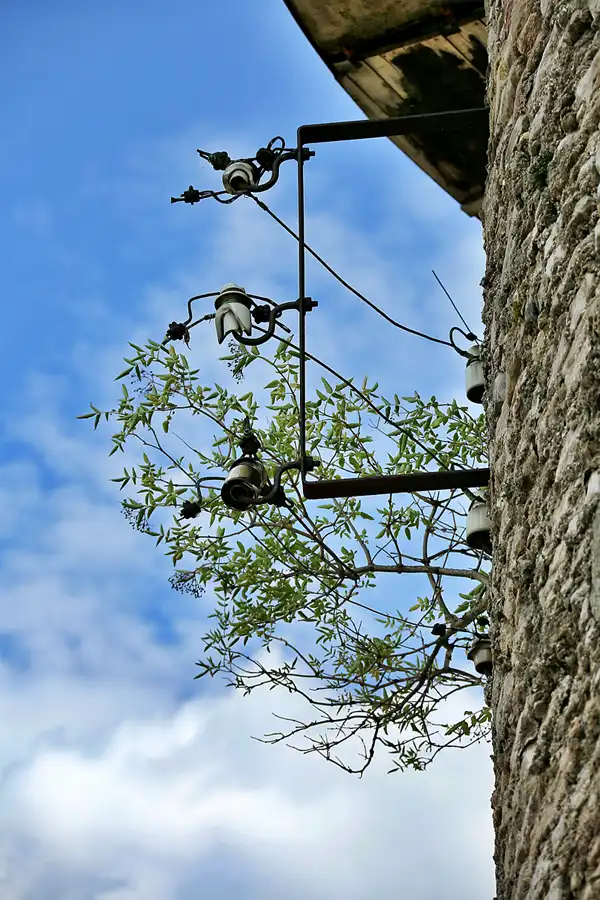 069 | 2020 | Gernrode | Windmühle | © carsten riede fotografie