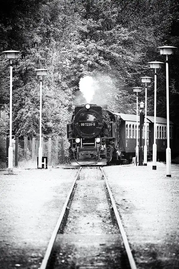 079 | 2020 | Alexisbad | Selketalbahn | © carsten riede fotografie