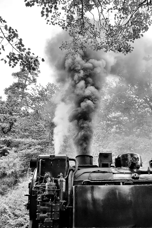 093 | 2020 | Mägdesprung | Selketalbahn | © carsten riede fotografie