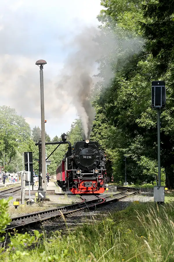 109 | 2020 | Drei Annen Hohne | Brockenbahn | © carsten riede fotografie