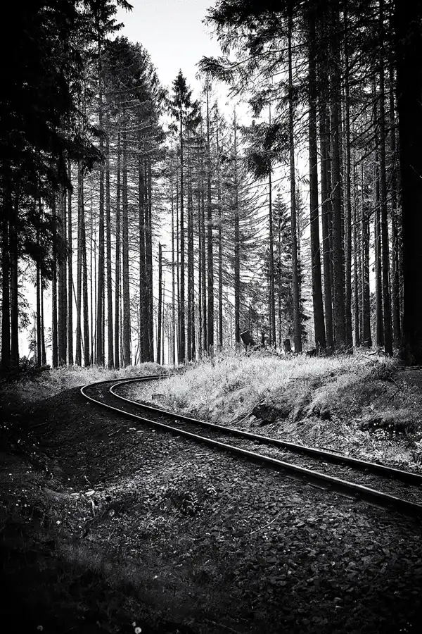 119 | 2020 | Schierke | Brockenbahn | © carsten riede fotografie