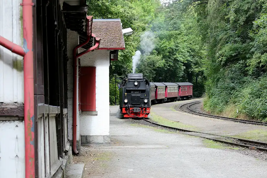 122 | 2020 | Steinerne Renne | Brockenbahn | © carsten riede fotografie