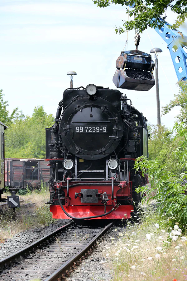 004 | 2020 | Gernrode | Selketalbahn | © carsten riede fotografie