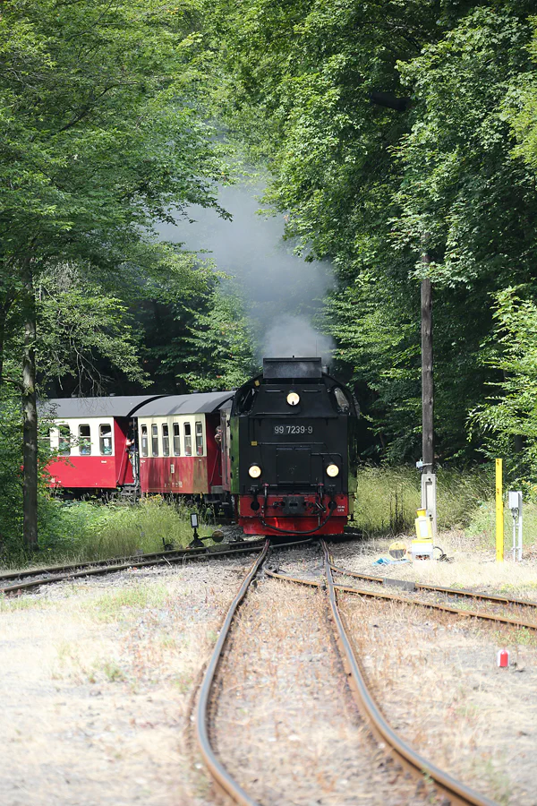 091 | 2020 | Mägdesprung | Selketalbahn | © carsten riede fotografie