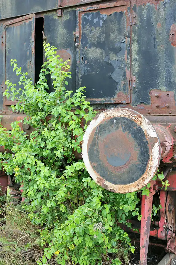 006 | 2020 | Stassfurt | Bahnbetriebswerk Stassfurt | © carsten riede fotografie