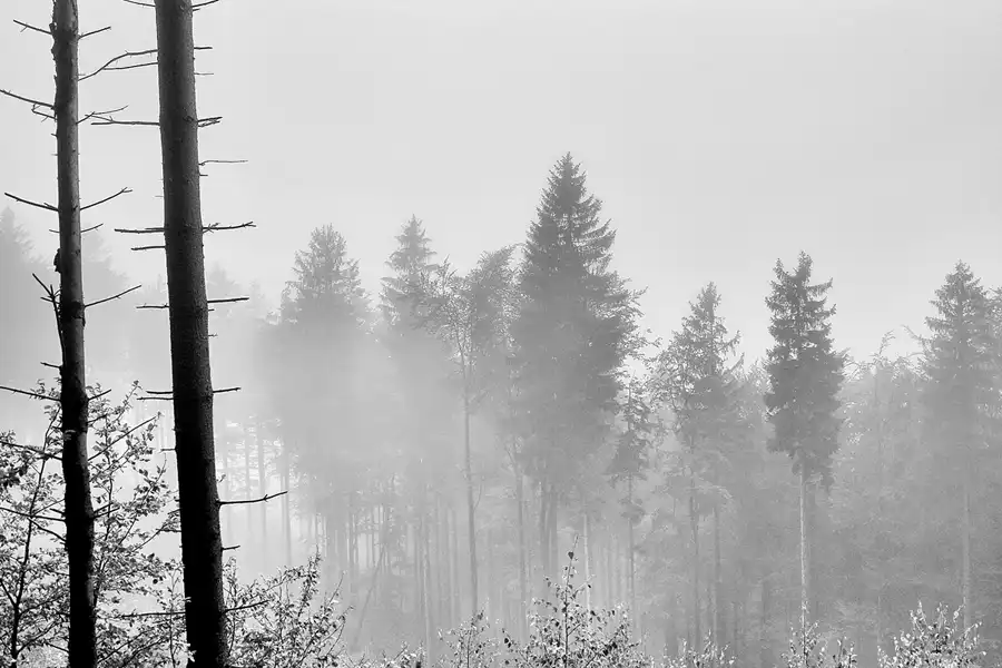 004 | 2020 | Park Krajobrazowy Gór Sowich – Landschaftsschutzpark Eulengebirge | © carsten riede fotografie