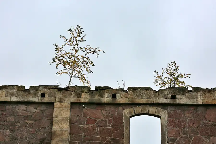 019 | 2020 | Ścinawka Górna | Pałac w Sarnach – Schloss Scharfeneck | © carsten riede fotografie
