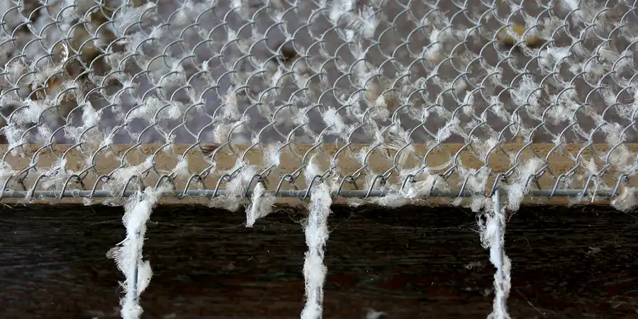 020 | 2020 | Bad Blankenburg | Sanatorium Schwarzeck | © carsten riede fotografie